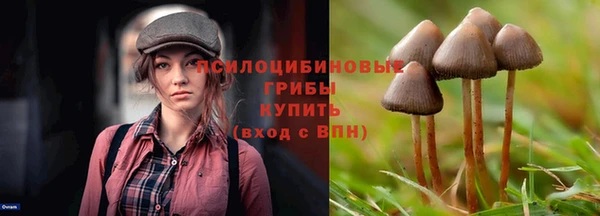 бошки Алзамай