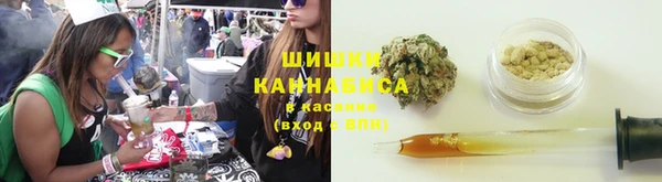 шишки Абаза