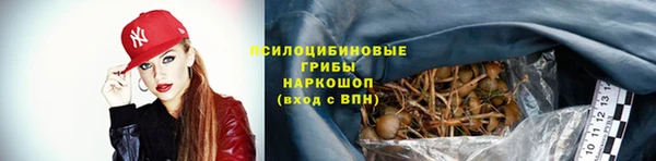 ПСИЛОЦИБИНОВЫЕ ГРИБЫ Алексин