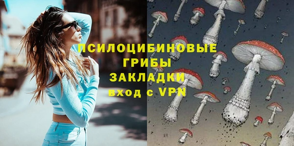 ПСИЛОЦИБИНОВЫЕ ГРИБЫ Алексин