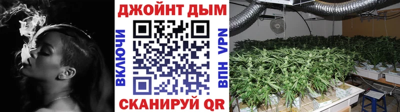Бошки марихуана тримм  MEGA маркетплейс  Иланский 